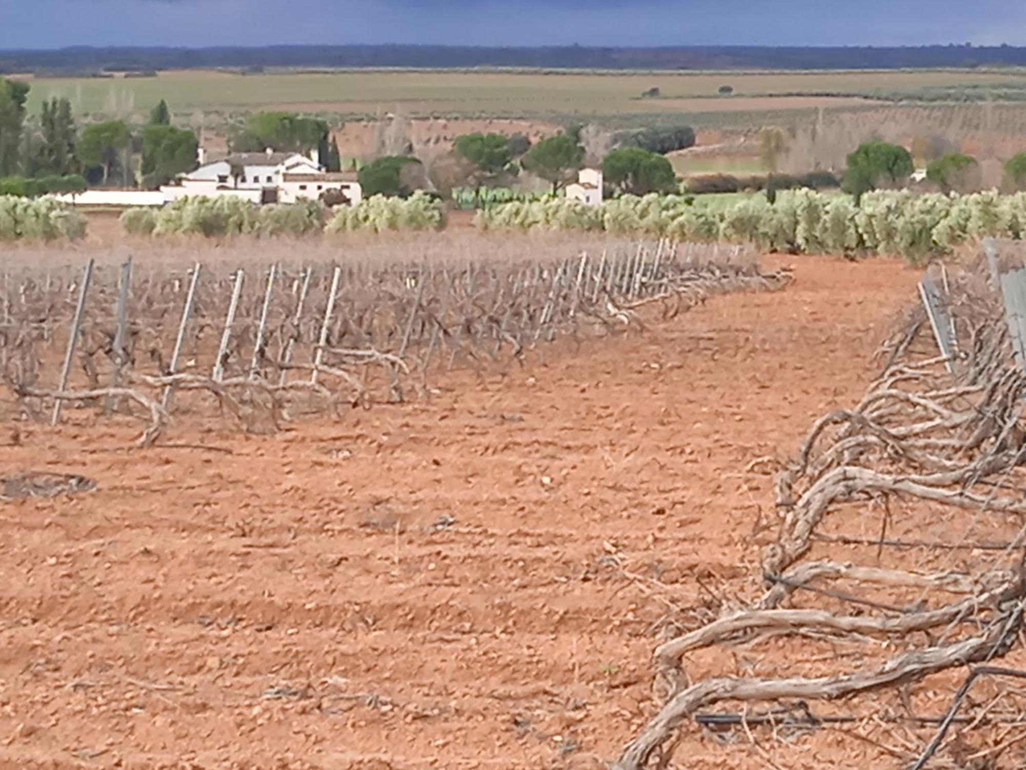 Casa Rural Senorio De Quevedo Villanueva De Los Infantes Zewnętrze zdjęcie