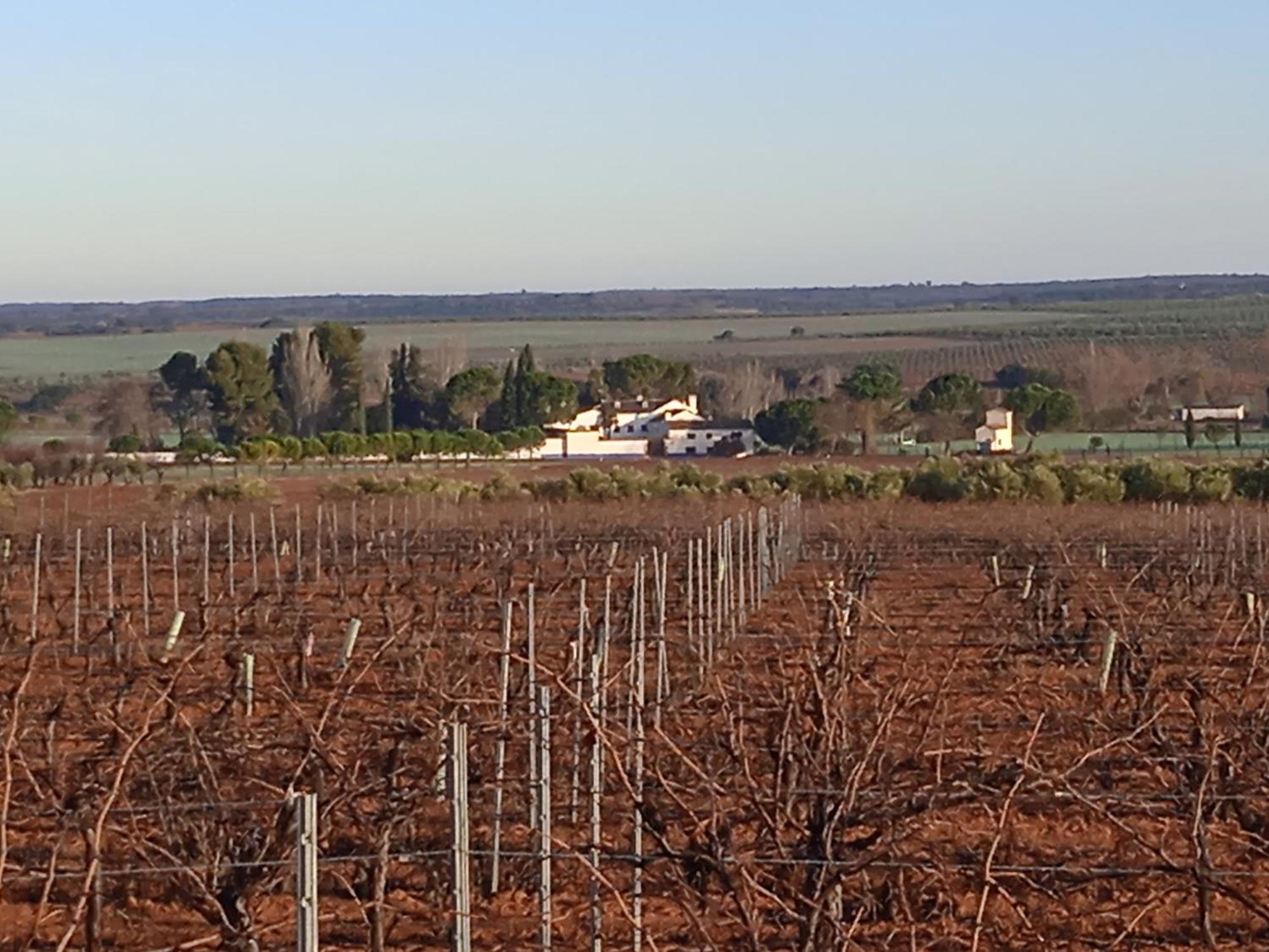 Casa Rural Senorio De Quevedo Villanueva De Los Infantes Zewnętrze zdjęcie